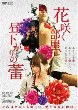 深海回声剧场版条目封面